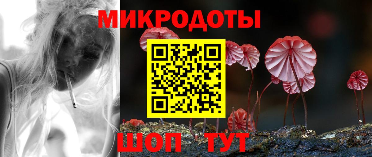Пенза  Псилоцибиновые грибы мухоморы  Вход с VPN 